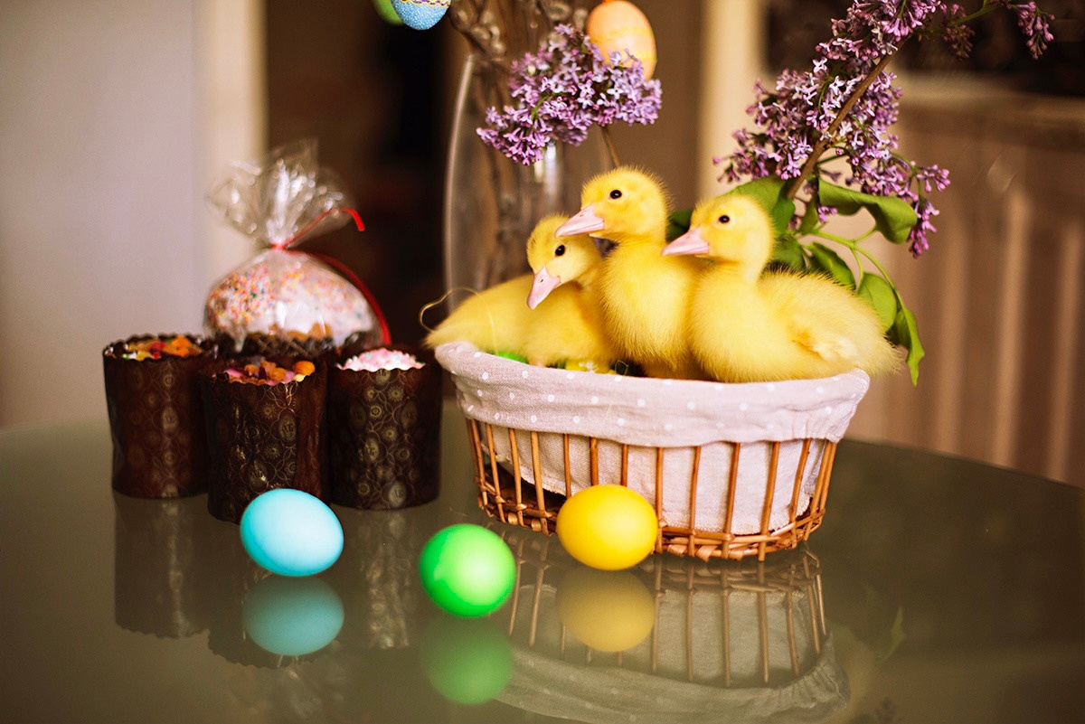 Пасхальные съемки. Семейный и детский фотограф Анапа