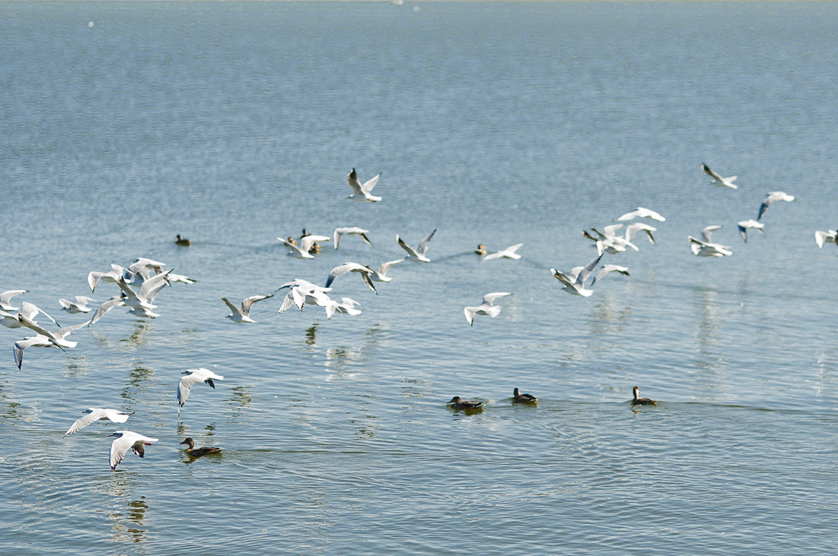 Свадебная фотография, фотограф на свадьбу Яна Новак, wedding day, свад. Свадебный и семейный фотограф в Минске Яна Новак