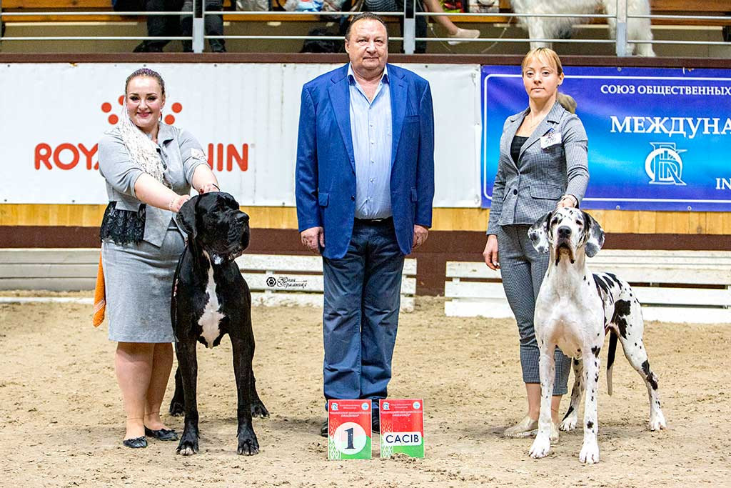 Минск 2хCACIB 27-28 ноября 2021. Фотограф-анималист Юлия Германика