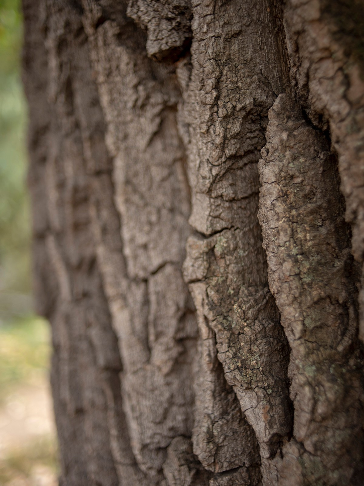 Красота в деталях. Монохромный фотограф