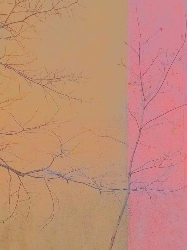 Malamoonki. Катерина Малама арт-фотограф