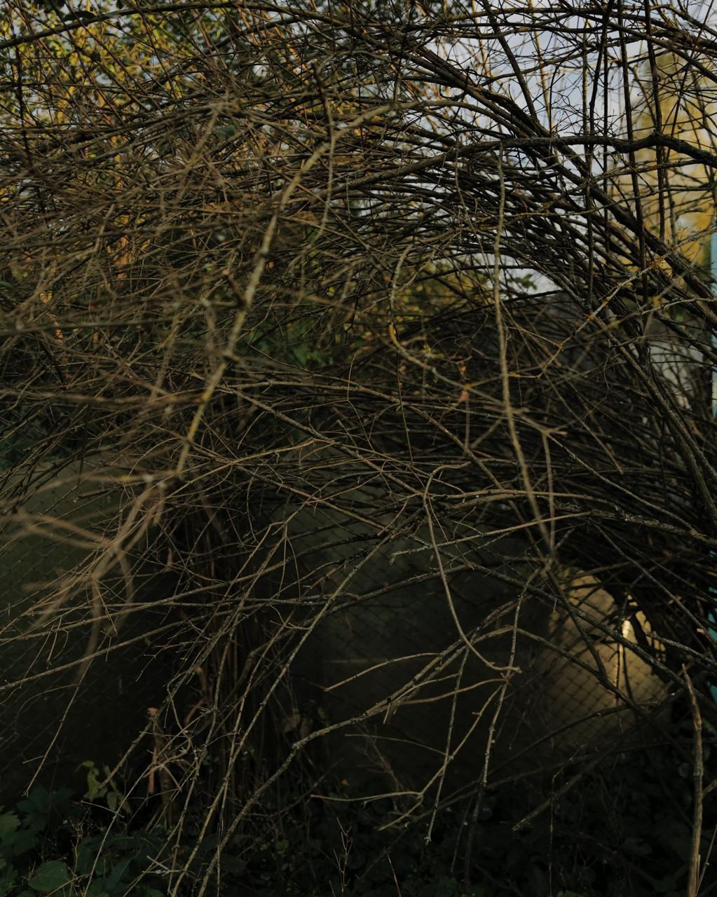 RANDOM. Nik Paustovskiy photography