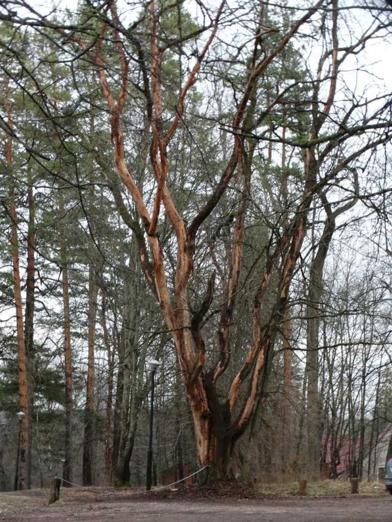 «Весенний переполох» Загородный выезд | 16-17.04.2016. Галерея Фантим