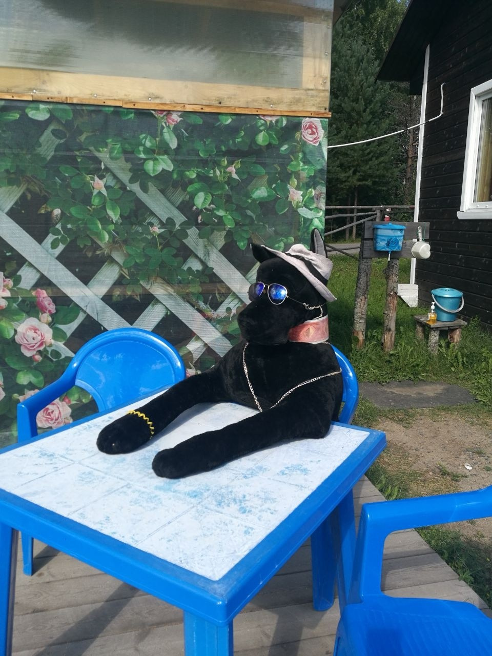 Карелия | 16-18.08.24. Галерея Фантим