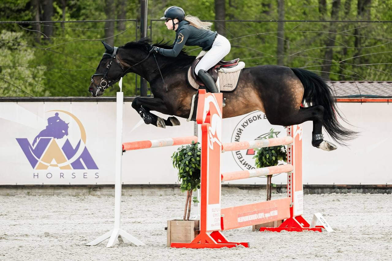 МУНИЦИПАЛЬНЫЕ СОР-Я ПО КОНКУРУ, ПОСВЯЩЕННЫЕ ДНЮ ПОБЕДЫ — ВИВАТ!. Куракина Дарья • Конный фотограф