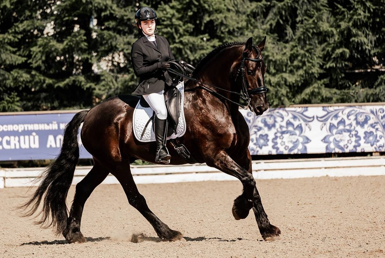 КУБОК по ВЫЕЗДКЕ КСК «РУССКИЙ АЛМАЗ». Конный фотограф Куракина Дарья • Фотосессии с лошадьми