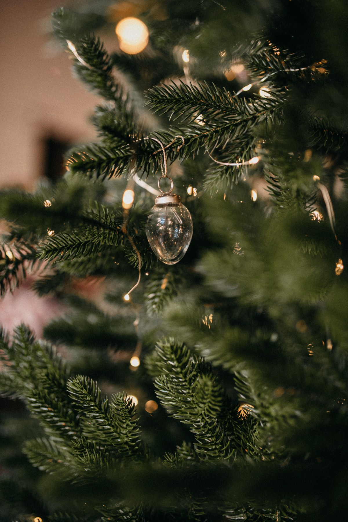 Запах печенек | дома