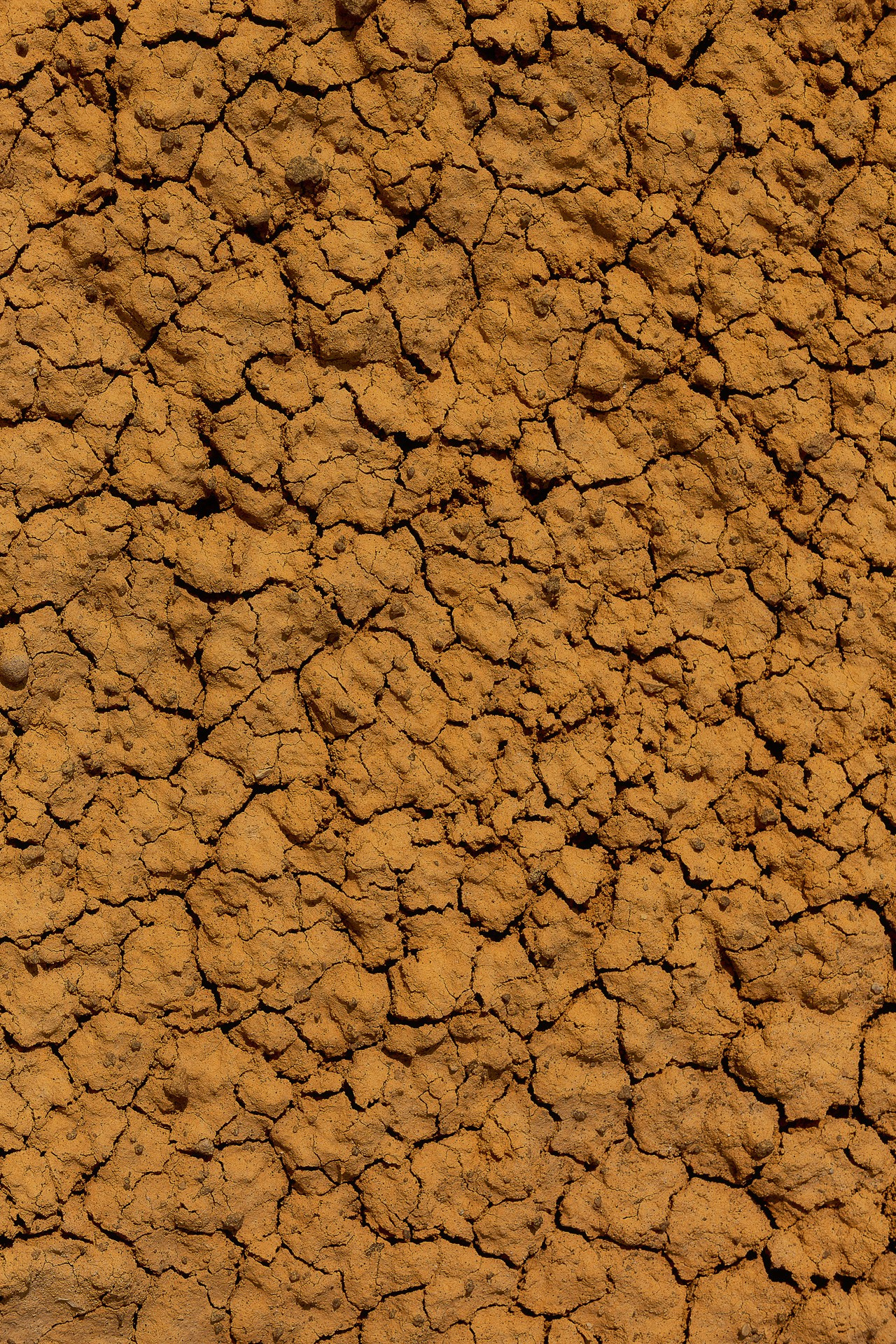 АЛТАЙ. Фототуры и обучение пейзажной фотографии