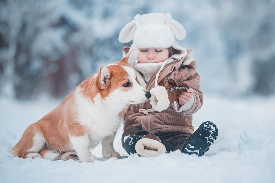 Собаки и их люди❤️. Семейный и детский фотограф в Москве Мария Быкова