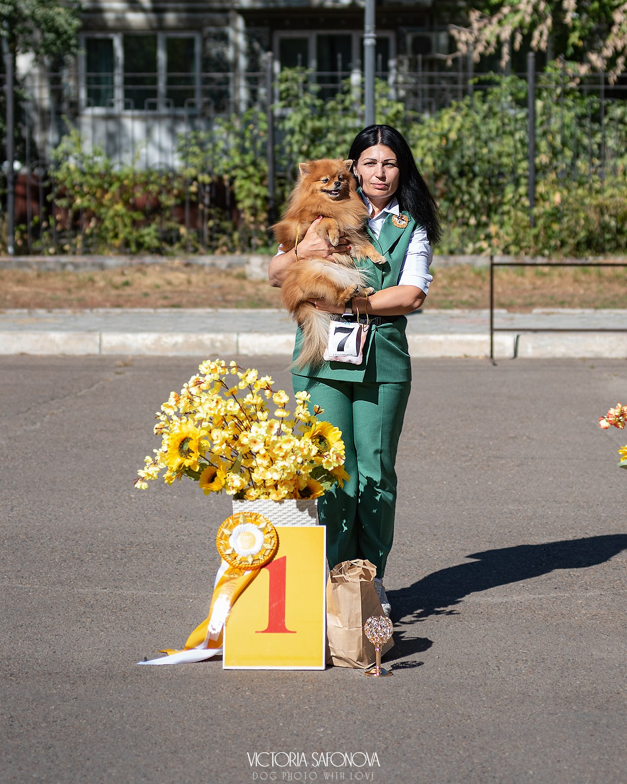 15 сентября 2024. Благовещенск. Монопородная выставка шпицев. Фотограф анималист Благовещенск. Сафонова Виктория