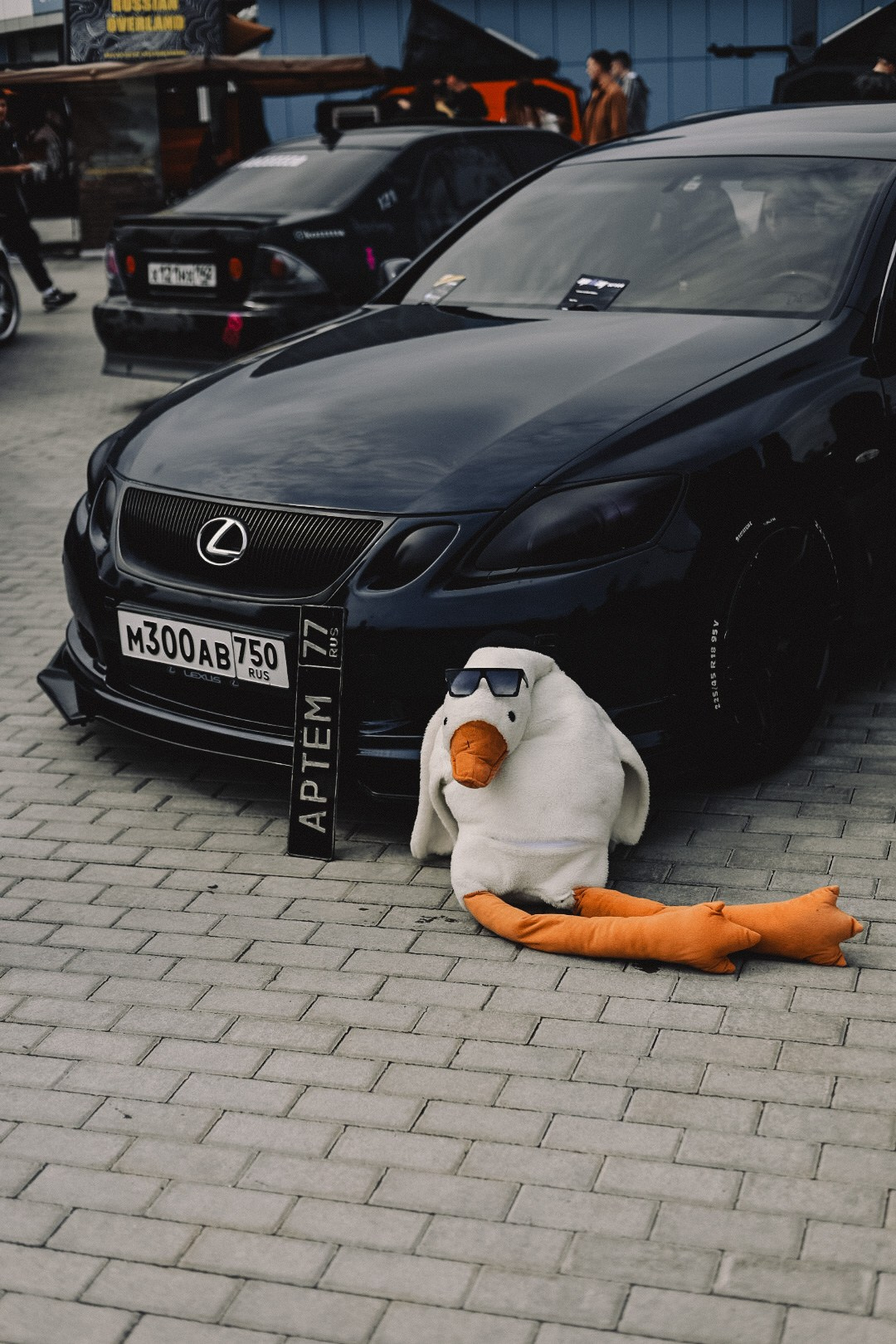 MIDDAY’2025. Семейный фотограф Полина Легачева