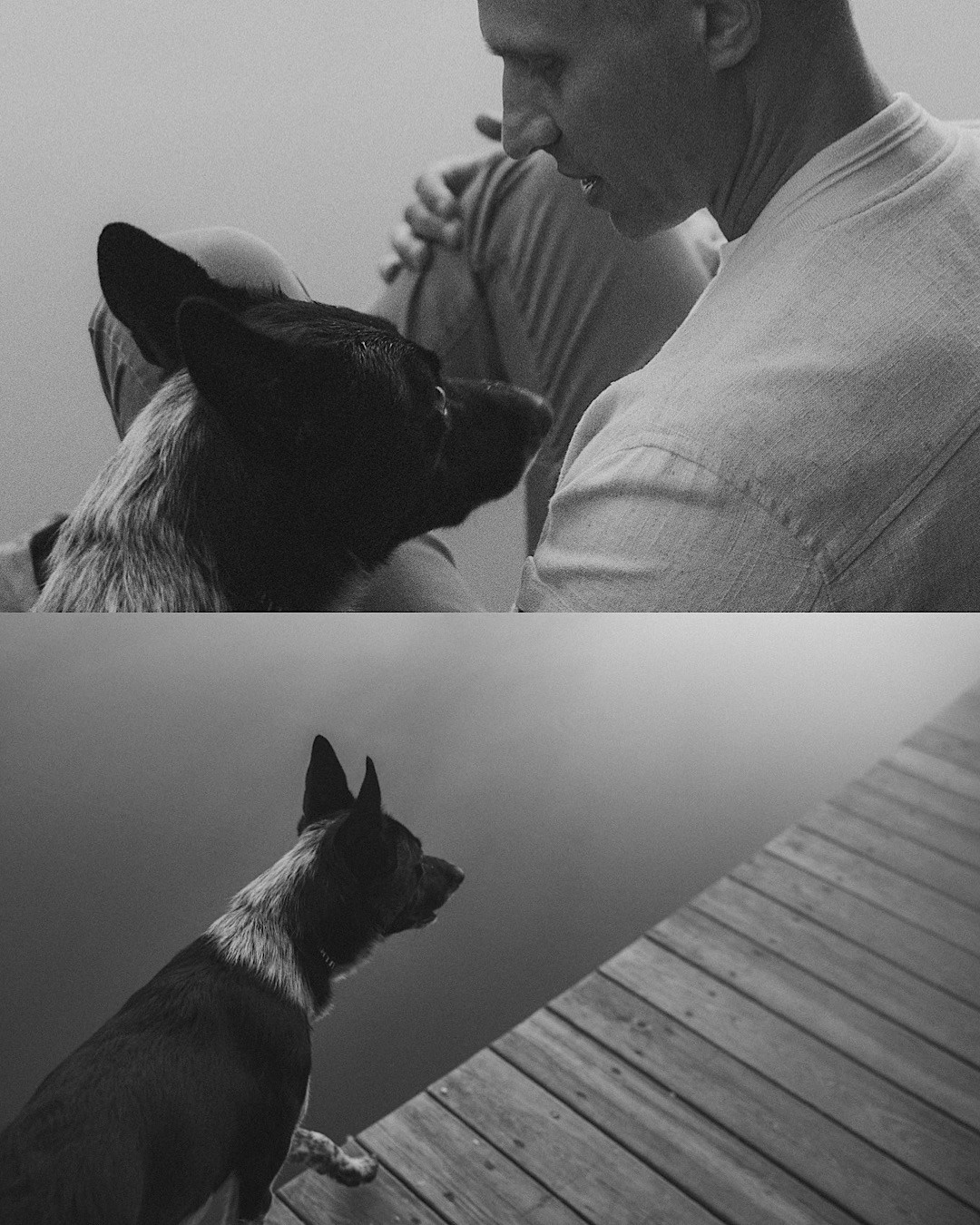 Катя, Сергей и Флинт. Фотограф анималист в Москве и Санкт-Петербурге Свиридова Анна