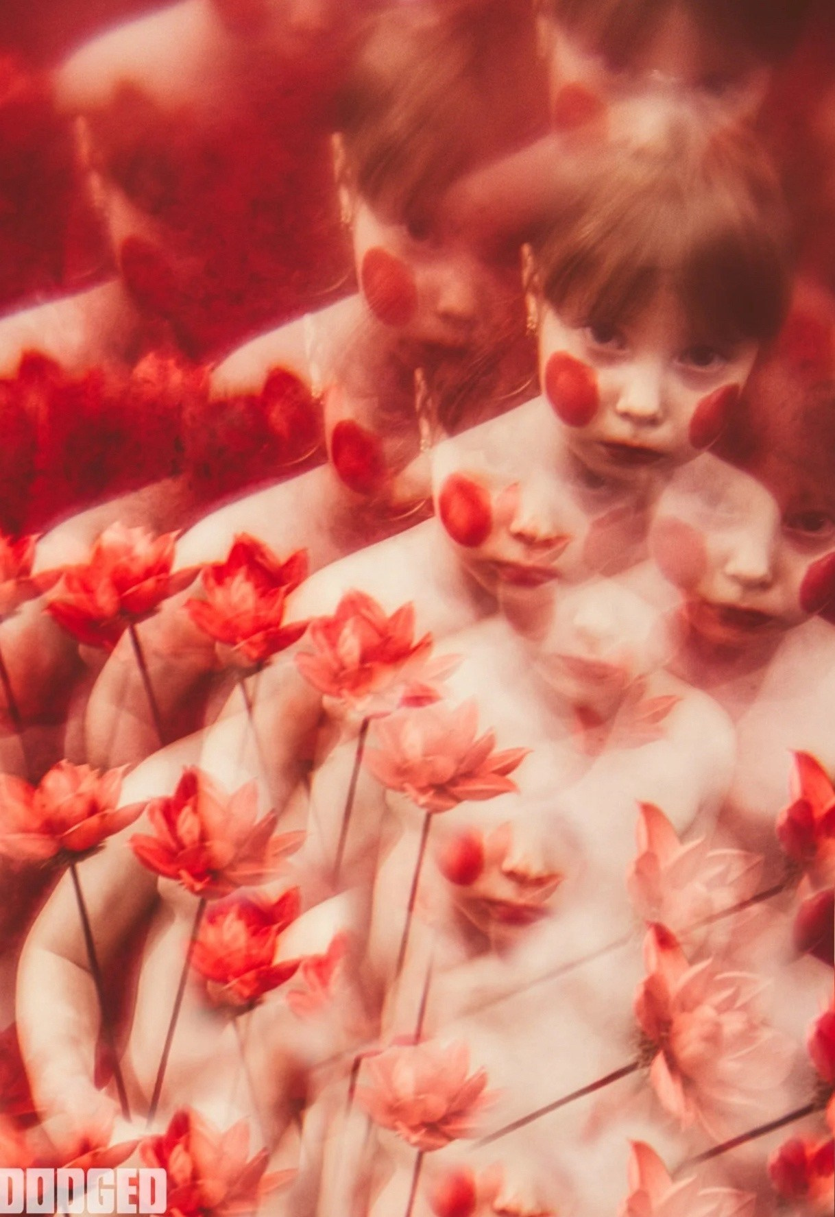 DODGED. Фотографии Лены Соколовой