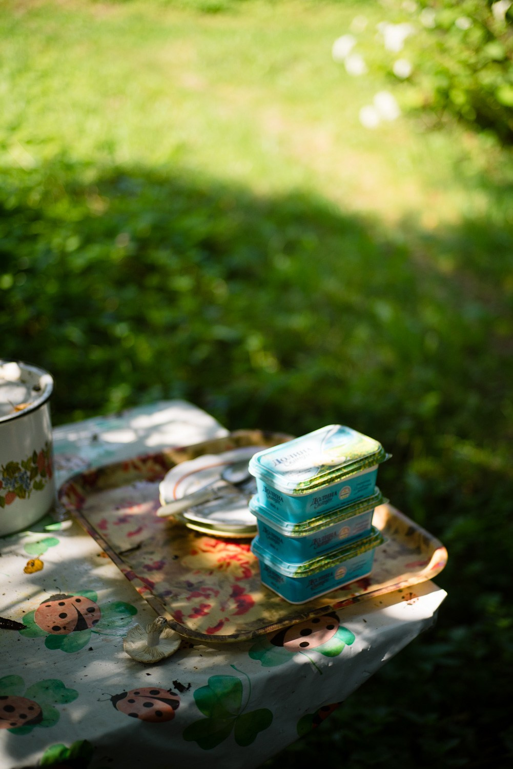 Summer Recurrences. Пётр Антонов