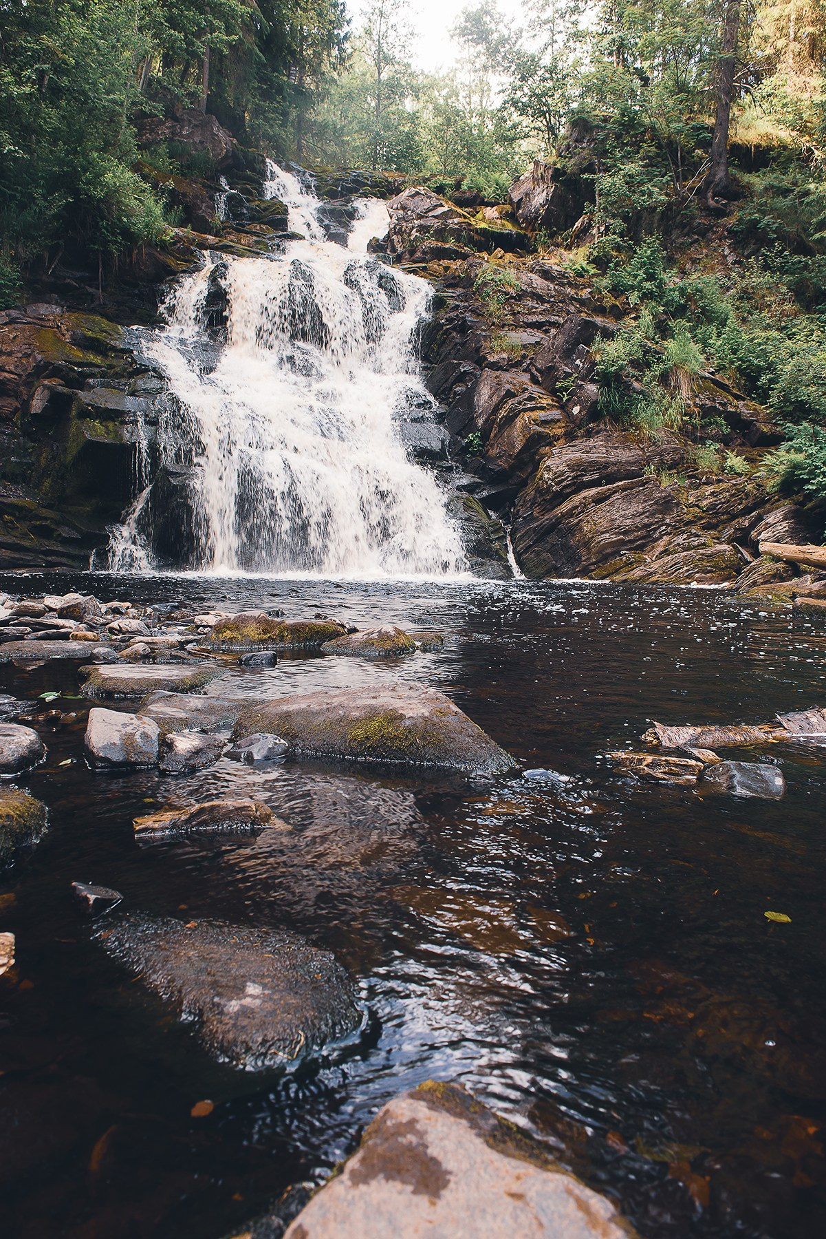 Карелия. Фотограф-анималист Наталья Светличная