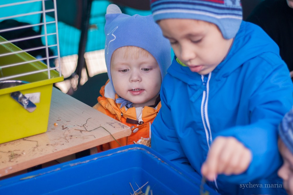 Ярмарка талантов. Детский и семейный фотограф, фотограф мероприятий Нижний Новгород