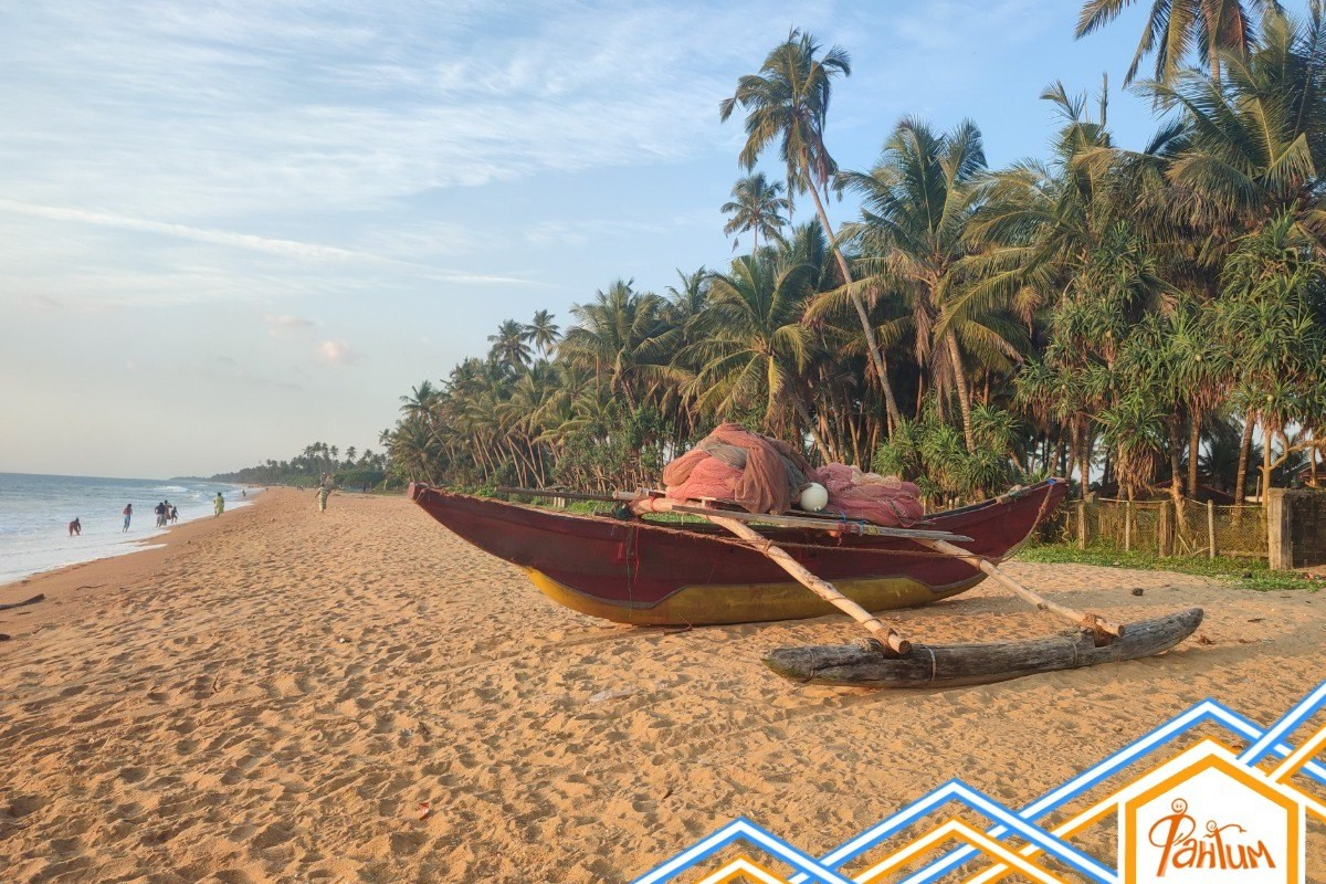 Шри-Ланка | 31.01 — 10.02.2025. Галерея Фантим