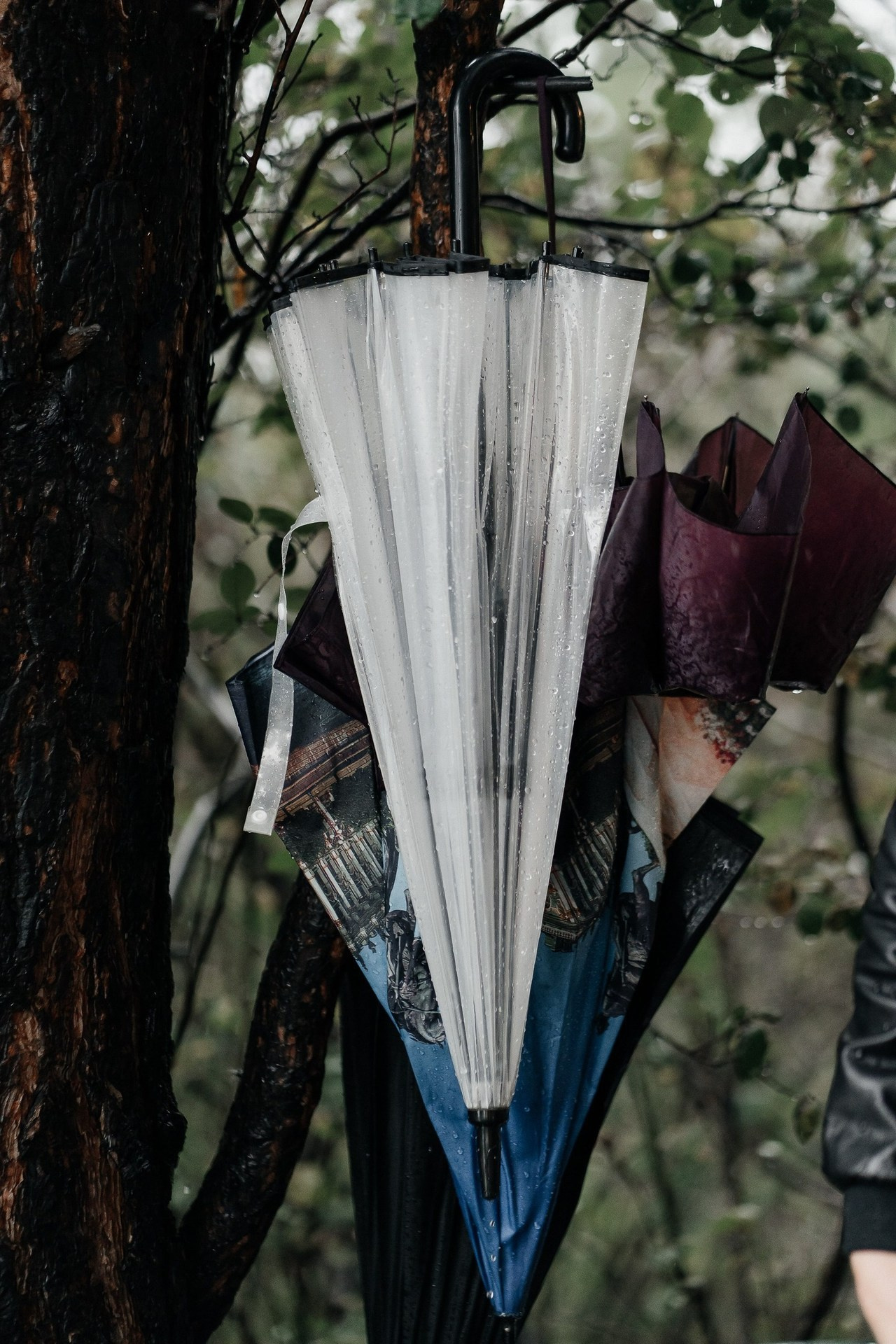 Отзывы. Свадебный и семейный фотограф в Красноярске Кристина Бозунова