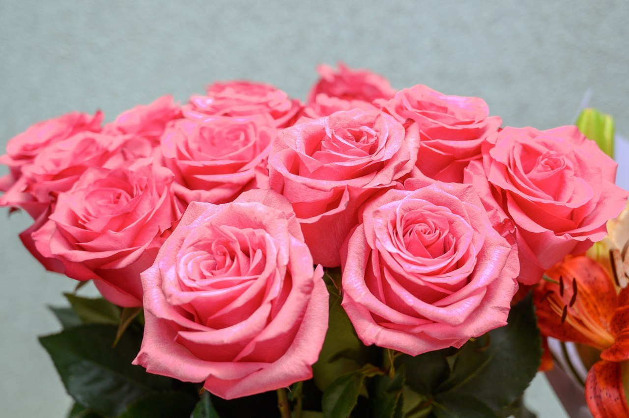 Отзывы. Фотограф. Выпускные альбомы в Барнауле