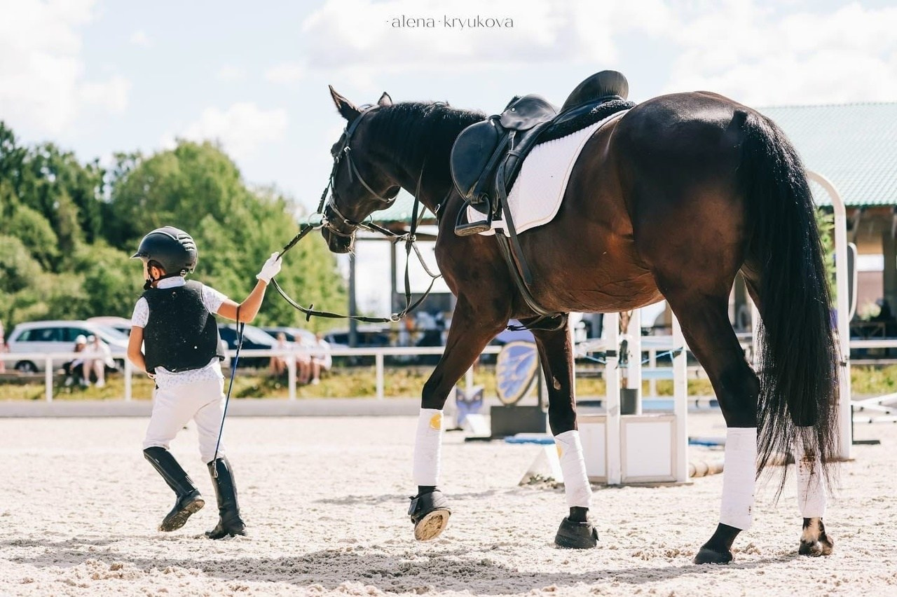 Летние соревнования. Фотосессии с лошадьми