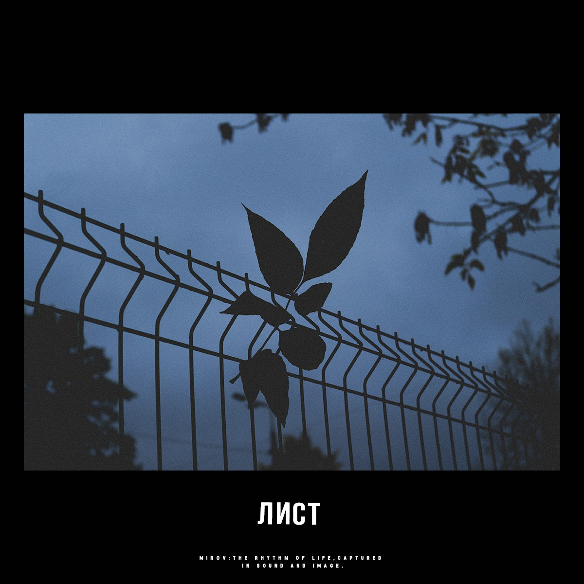 Beats. Den Mirov — Photographer, Musician