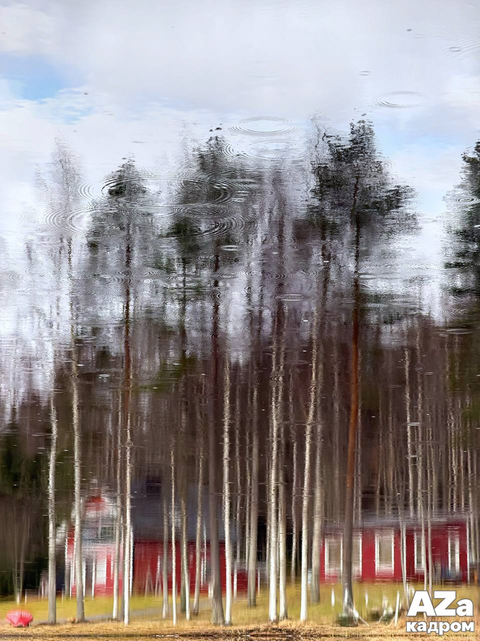 AZакадром «Отражения». Женский семейный фотограф Тула Москва Захарова Анна