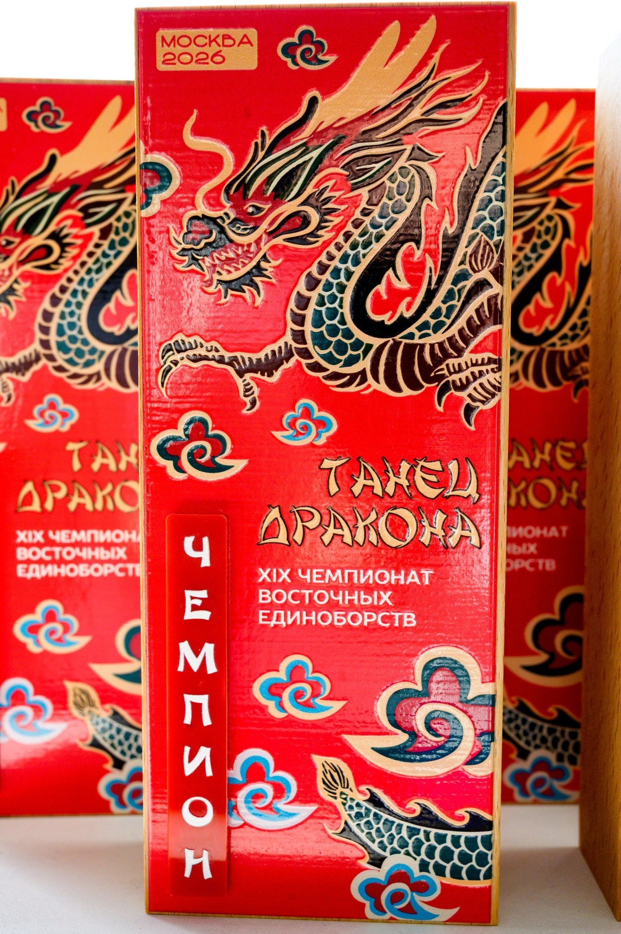 Отзывы. Спортивный фотограф в Москве Фадеева Ирина. Соревнования, турниры, чемпионаты по танцам. отчетные концерты, съемка под водой