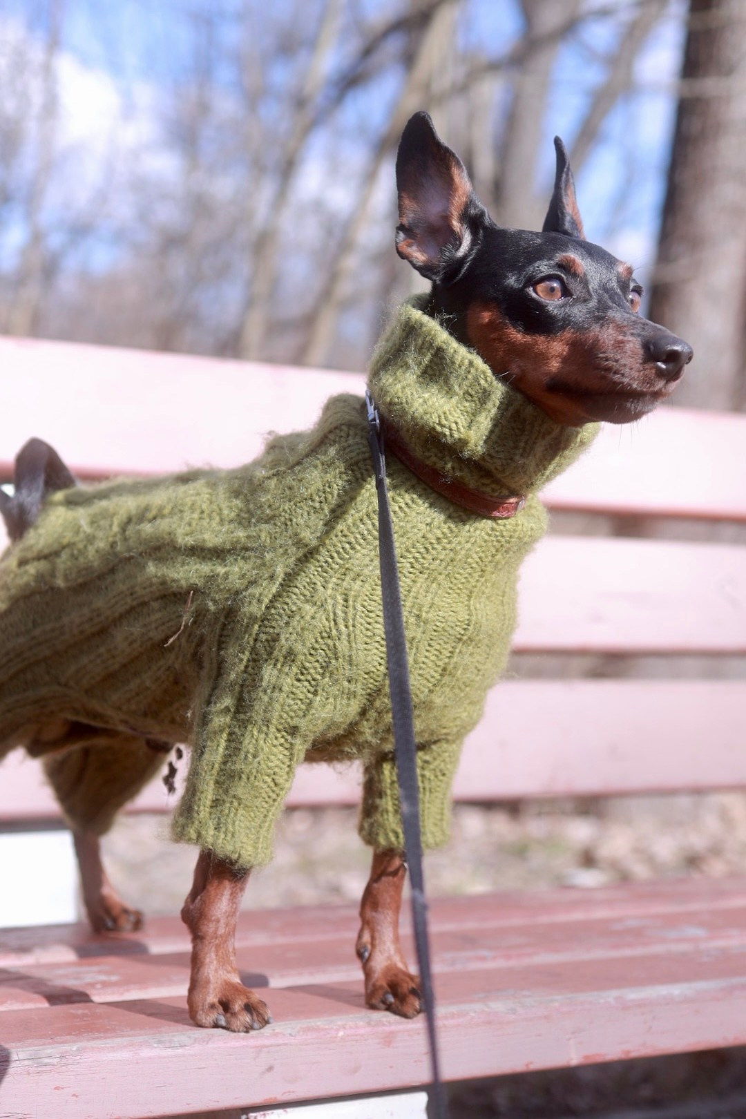 Животные. Художественная фотография