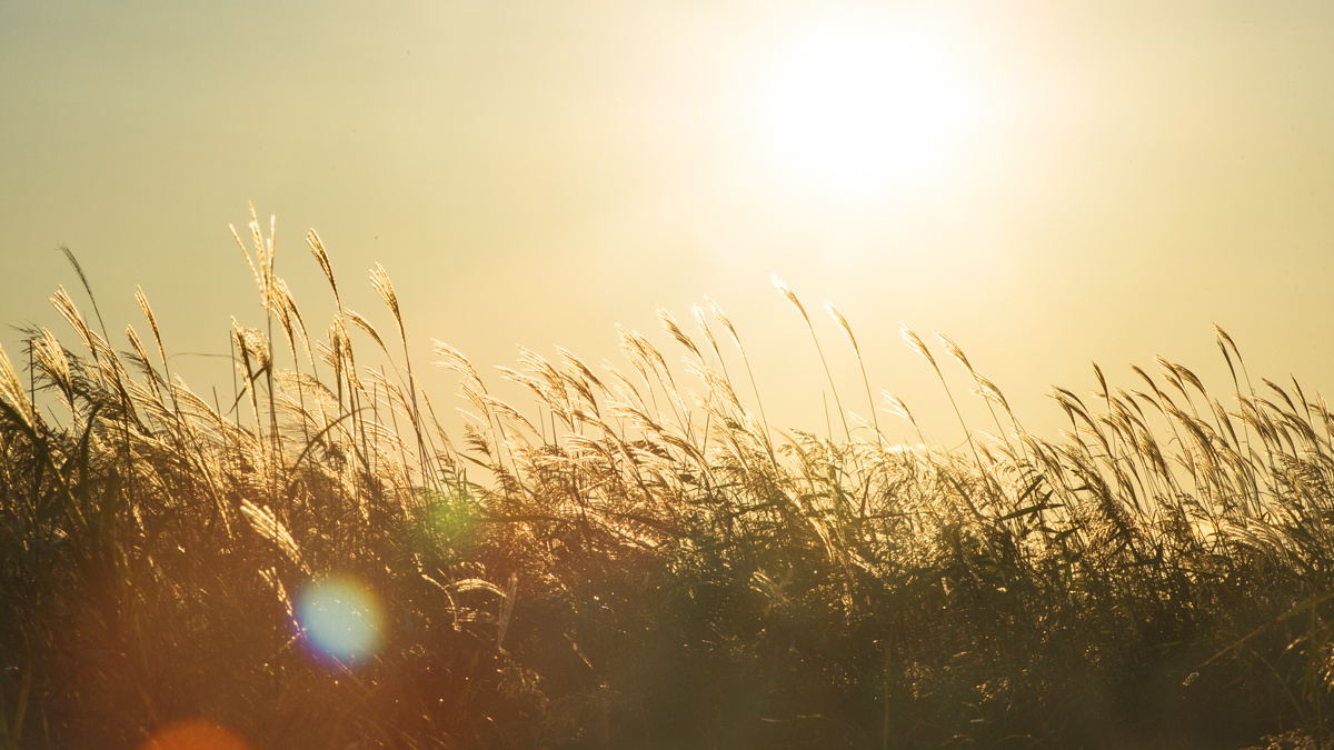 Landscape. Фотограф Валентин Кольцов, фотограф владивосток, свадебный фотограф, с