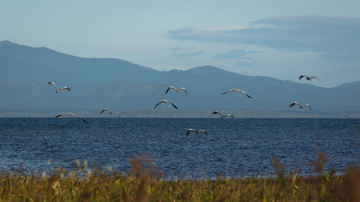 Landscape. Фотограф Валентин Кольцов, фотограф владивосток, свадебный фотограф, с