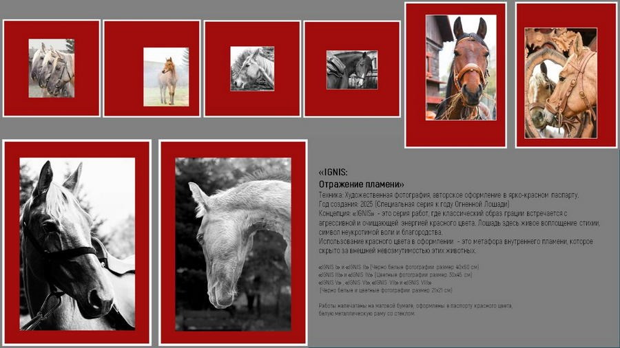 Кузьменко Людмила Сергеевна. Галерея участников Российской Премии Искусств