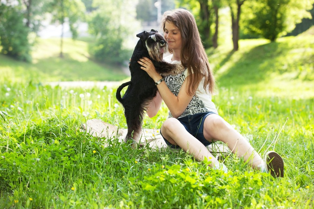 Питомник Делинсо Бэлэнс, щенки цвергшнауцера, купить щенка цвергшнауцера, питомник цвергшнауцеров, кобель цвергшнауцера для вязки, щенок цвергшнауцера, питомник цвергшнауцеров, черный с серебром, цверг, лучший питомник в беларуси, питомник цвергшнауцеров минск
