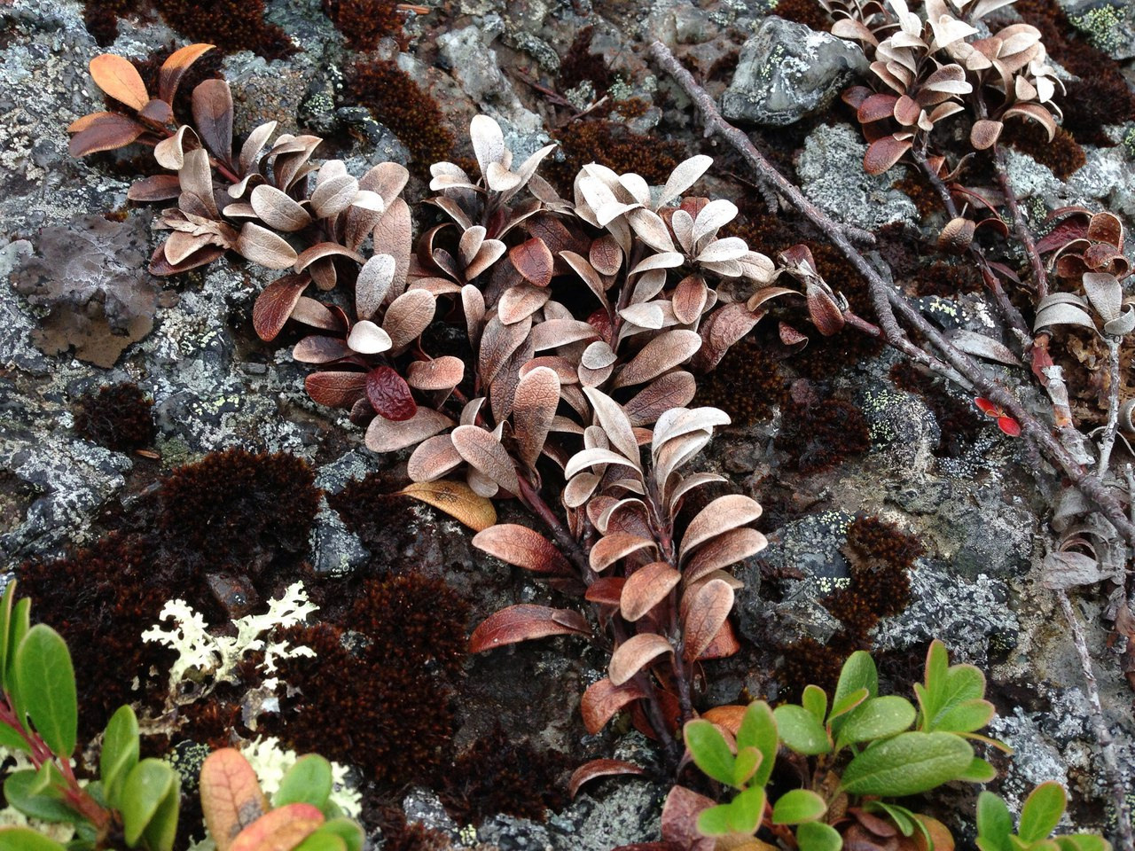 Infinity. Фотохроника для следующих поколений