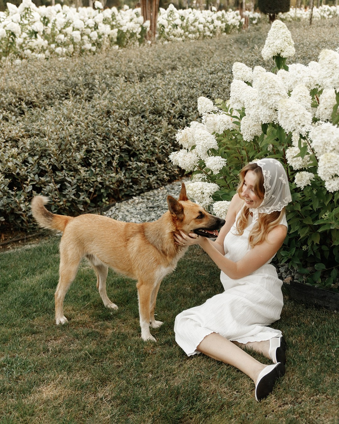 Катя и гортензии. Свадебный фотограф Краснодар Марина Зверева