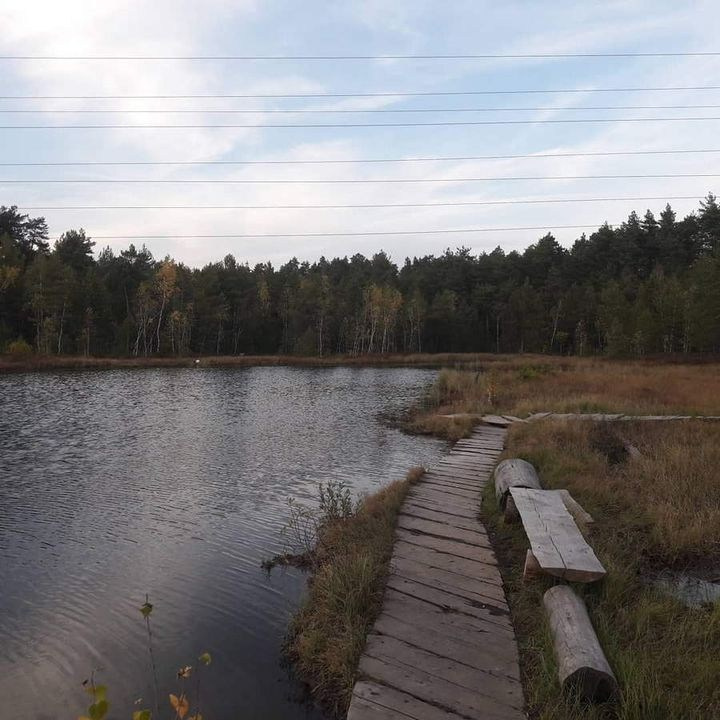 Фотосъёмка в Московской области — природные ландшафты и загородные локации