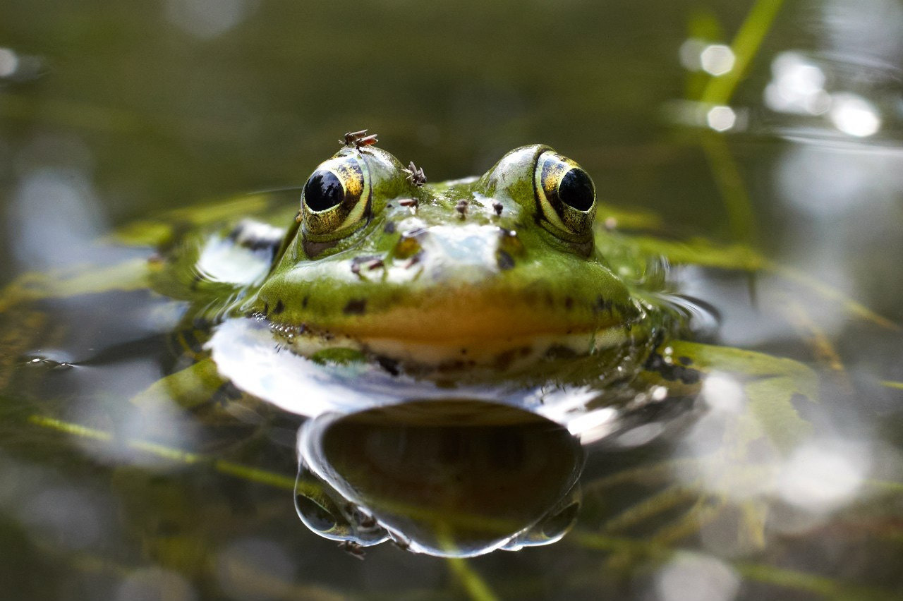Пейзажная фотография. Портретный фотограф Виноградов Александр | Москва, Шатура