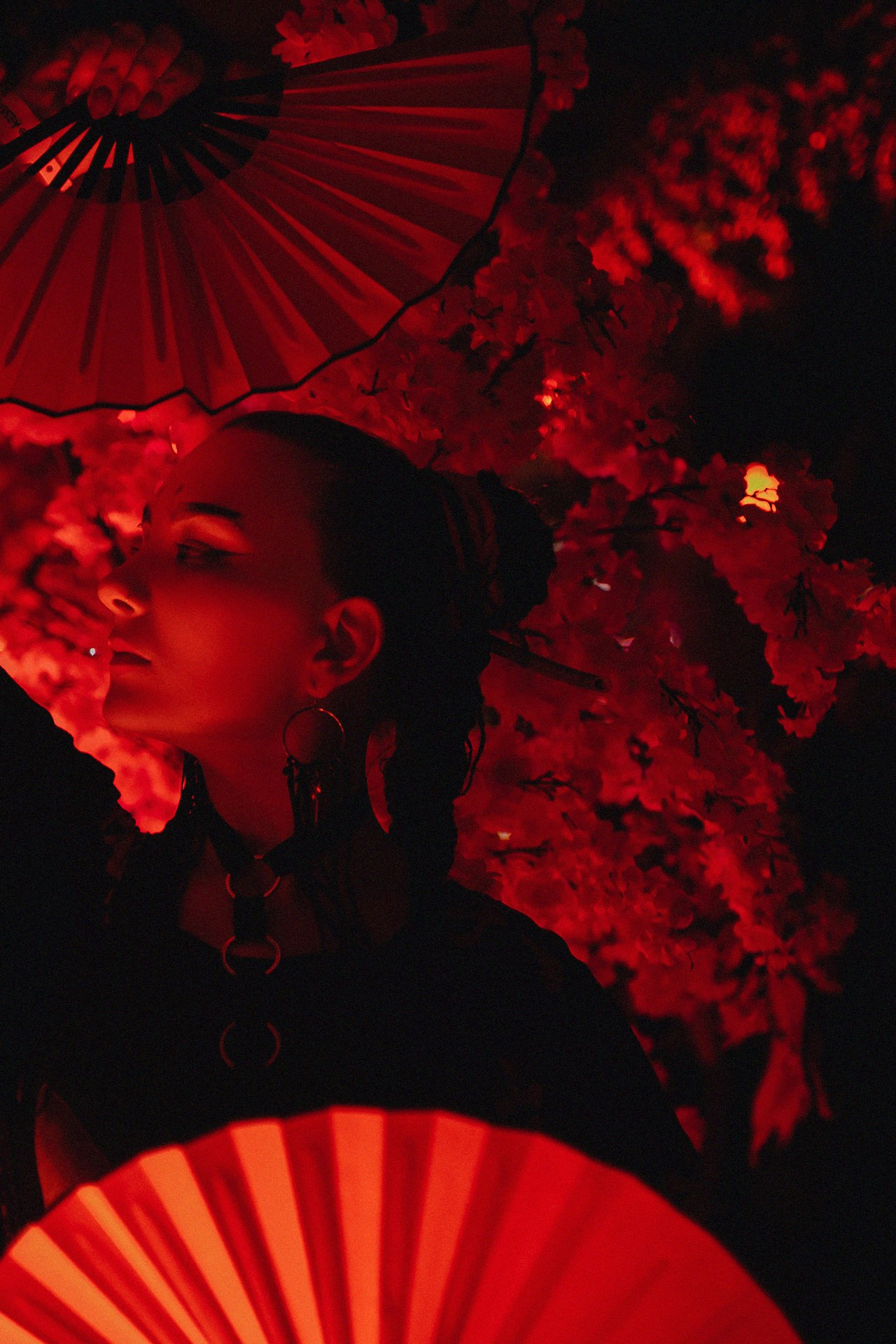 Odyssey Festival. Night2Day Санкт-Петербург