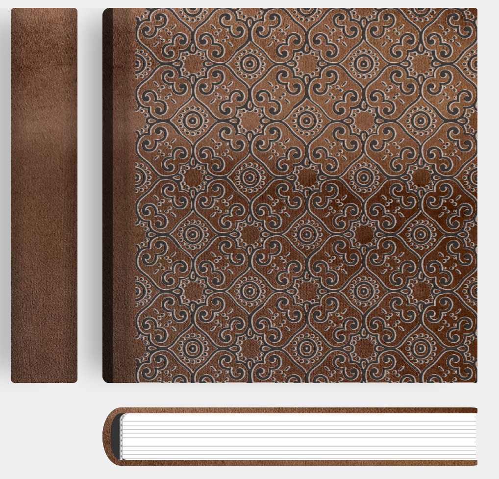 Велюр_Шоколадный. Фотограф женский и мужской портрет Санкт-Петербург