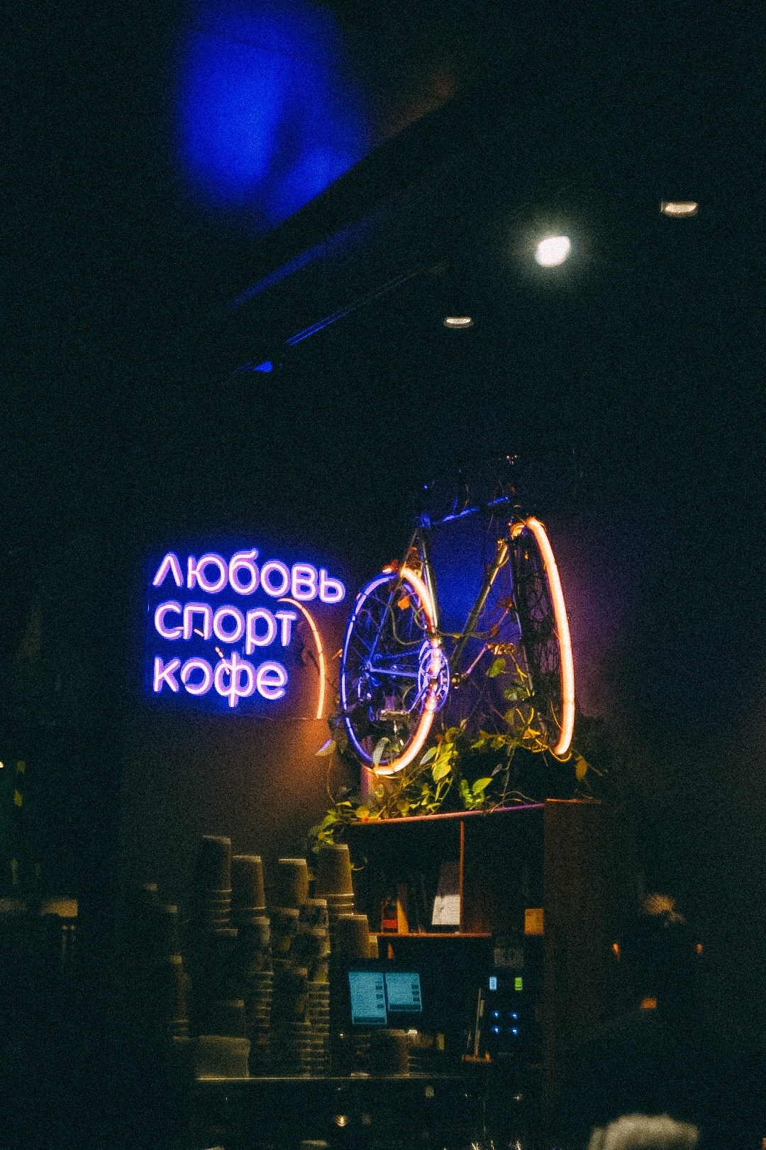 Велопрогулки в Сочи, Красной поляне, Сириусе. Фотограф в Сочи — Маргарита Поганова