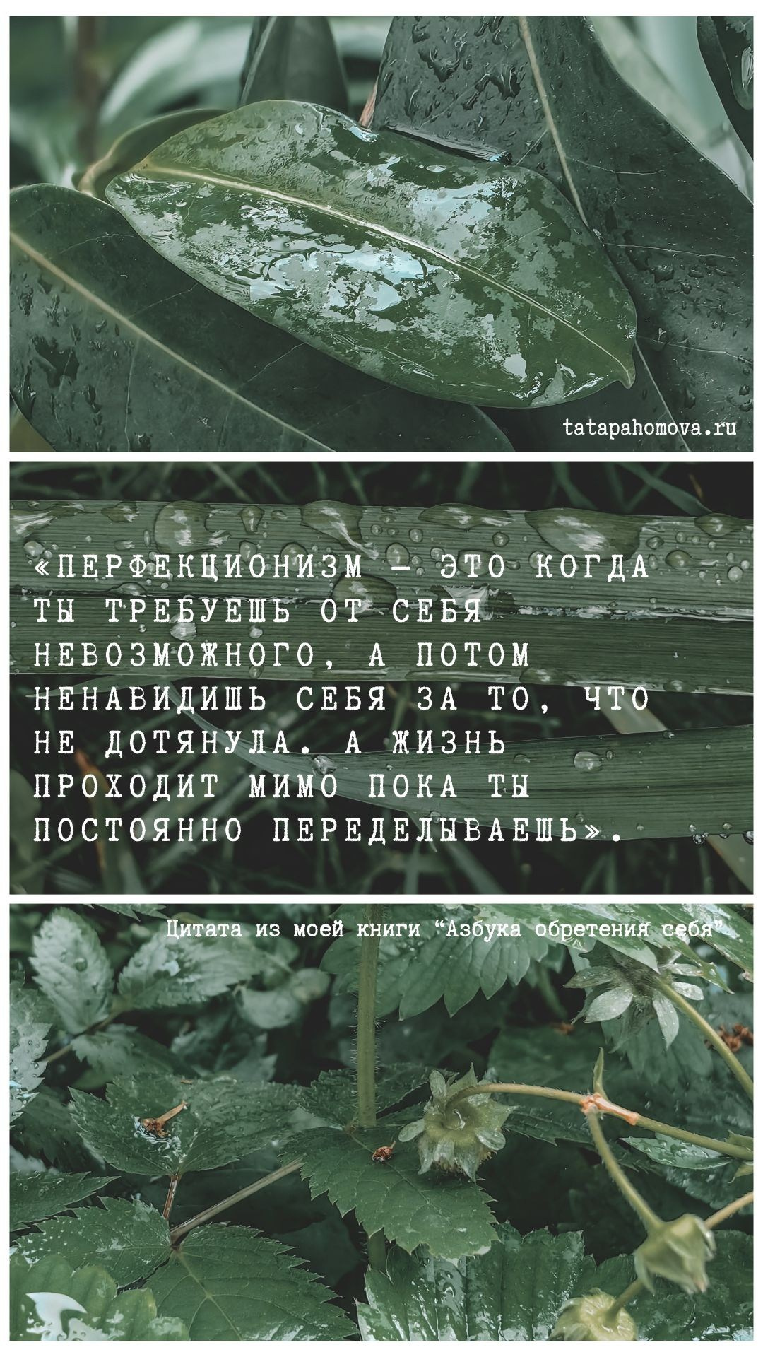 О главном. Творческая Таты Пахомовой
