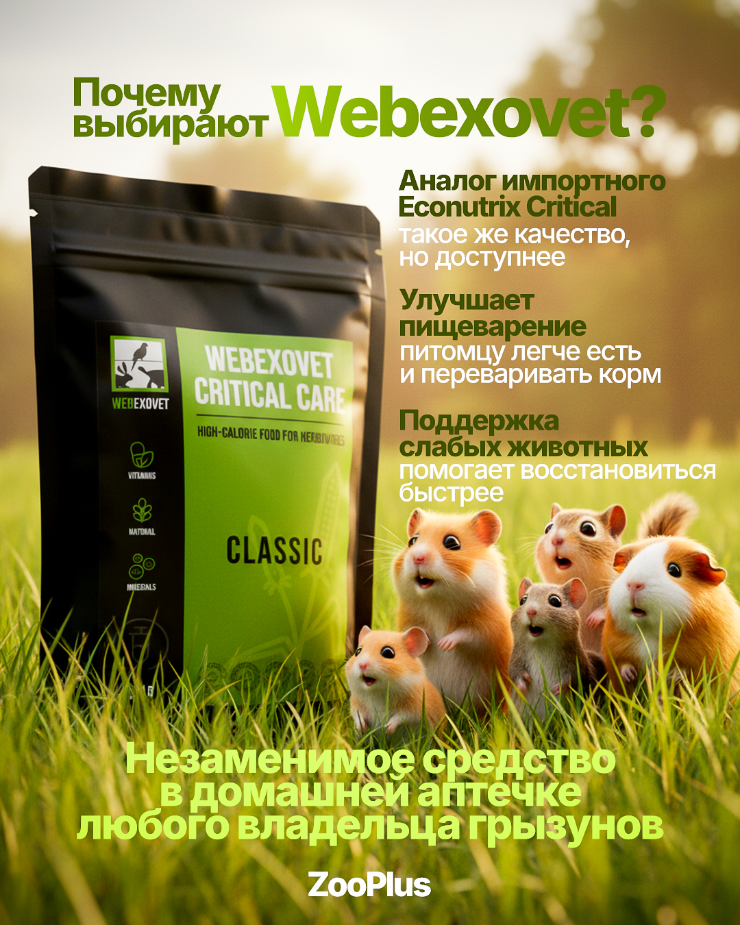 Рич контент/рекламные креативы. Инфографика для маркетплейсов, ваш персональный дизайнер