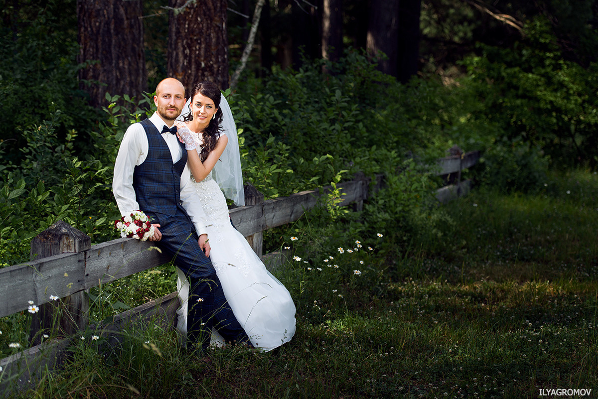 Forest. Photo & Video production, in Bishkek, Kyrgyzstan