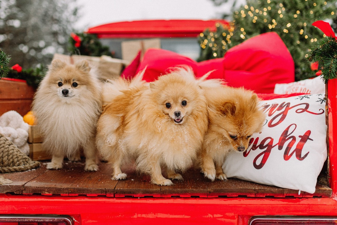 Отзывы. О любви. о чувствах. о вас. Аня Суббота