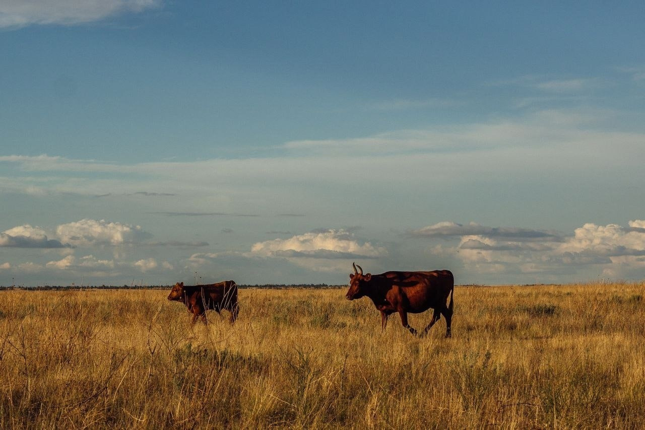 Пейзажи. Профессиональный фотограф Александр Бородин