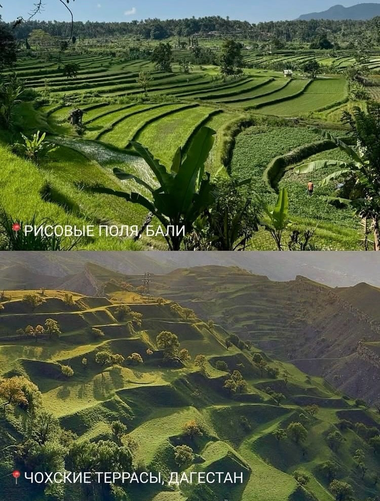 Фотограф Дагестан | Лошади | Этноплатья | Туры