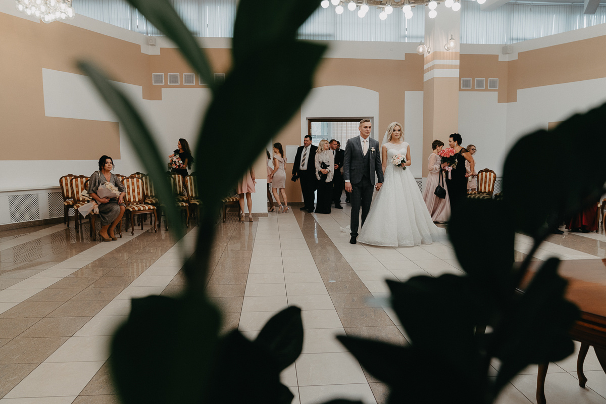 Александр и Анастасия. Свадебный фотограф и видеограф Дмитрий Горяченков