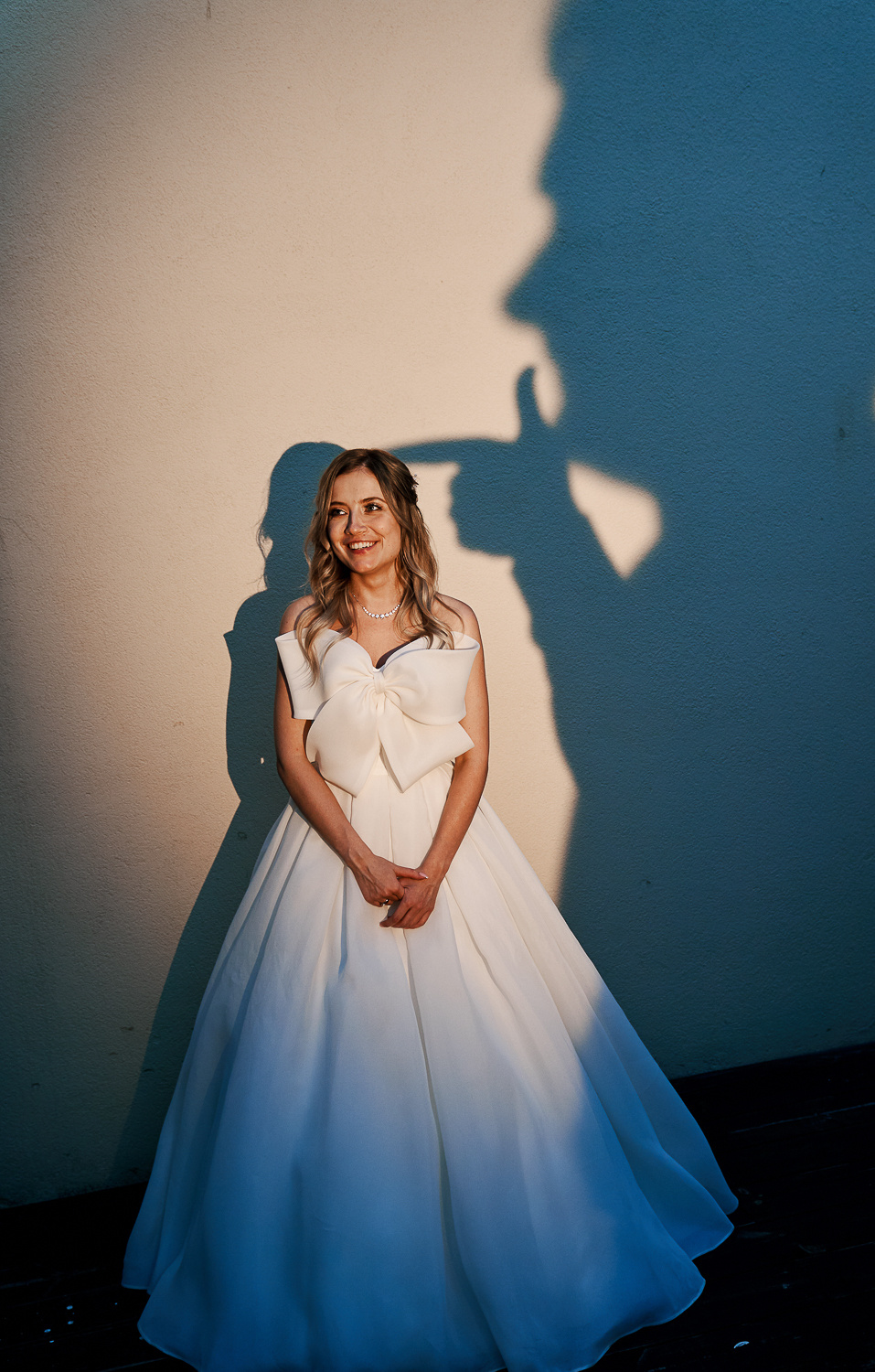 Владислав и Мария. Свадебный фотограф и видеограф Дмитрий Горяченков