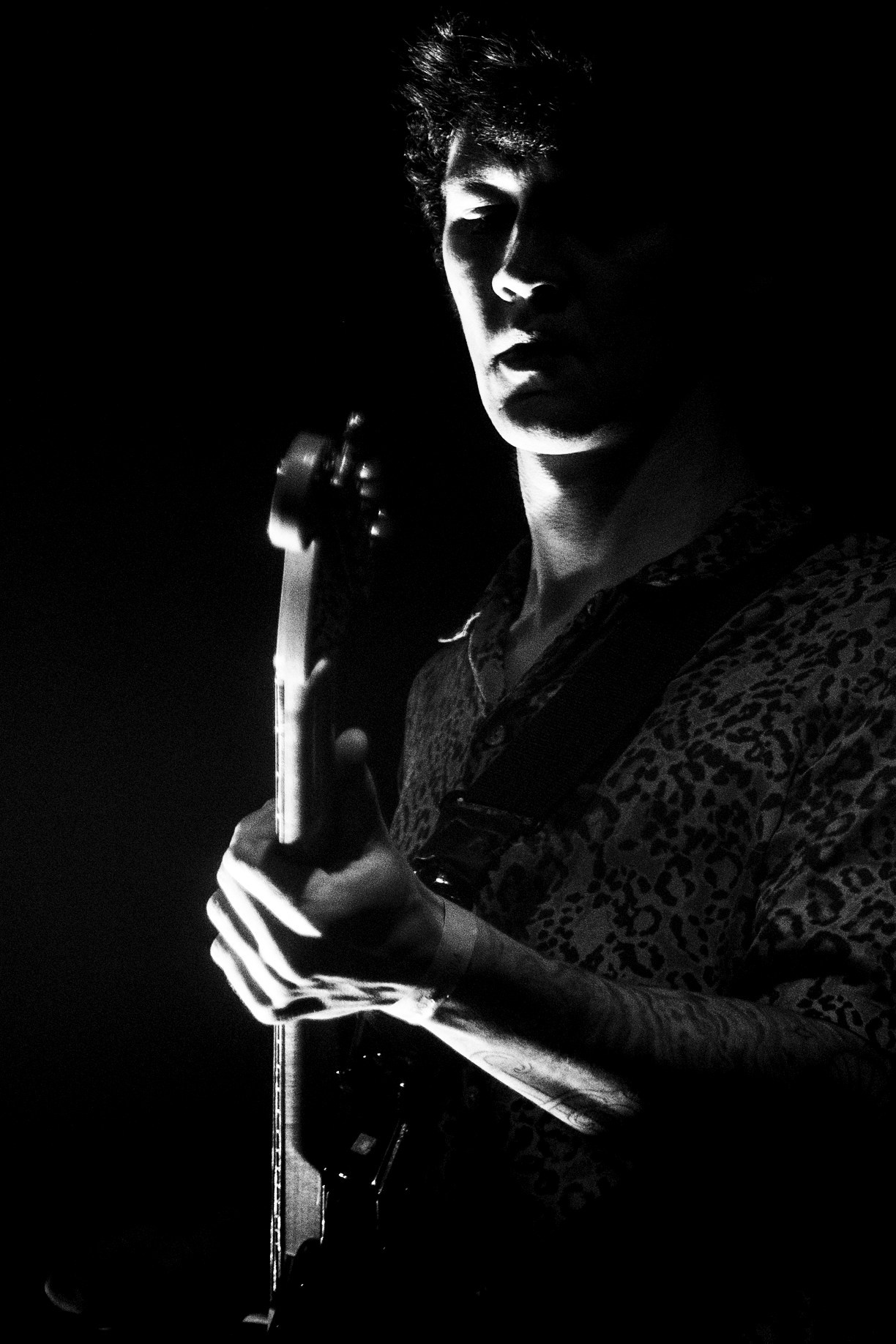 Дельфин. Клуб «Космонавт». 12.11.2022. Фотограф Тая Валюженич