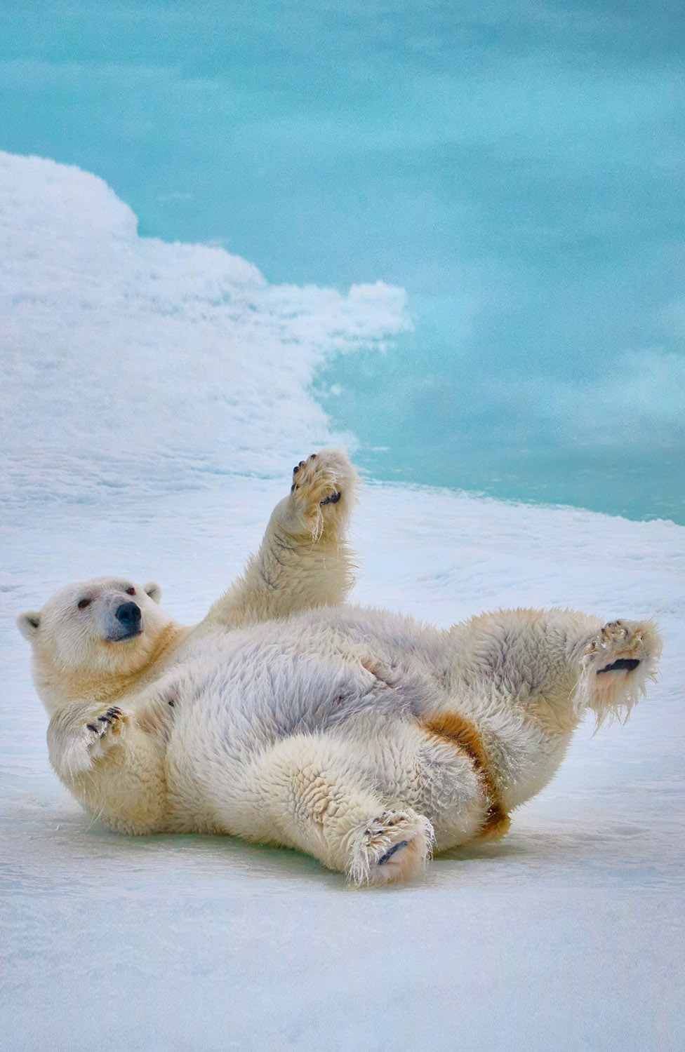 Международная онлайн-фотошкола Сергея Рожнова