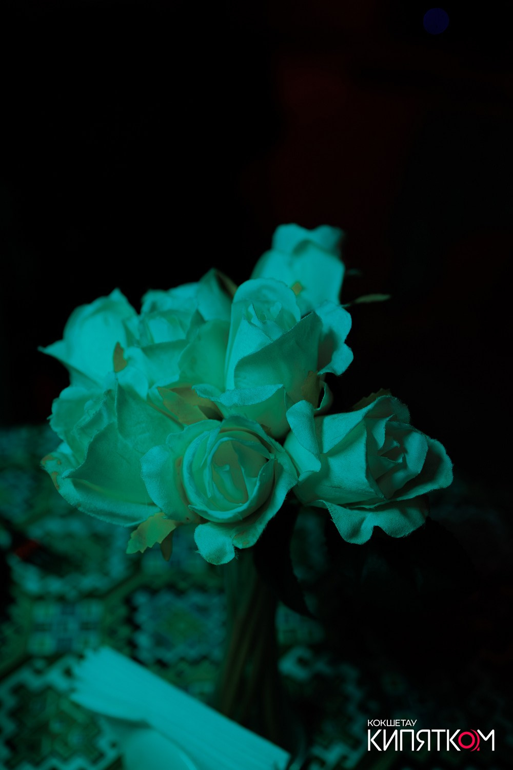 ТБИЛИСИ. КИПЯТКОМ КОКШЕТАУ